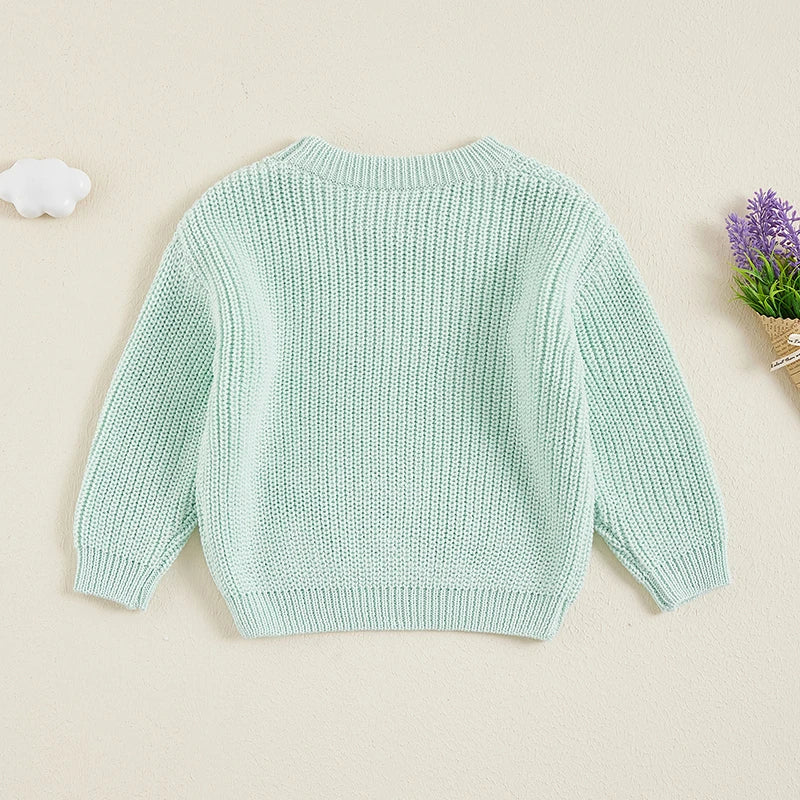 Suefunskry Newborn Baby Girl Boy Knitted Long Sleeve Autumn Winter Sweater Solid Loose Pullover Casual Tops Kids Clothes 3M-5Y