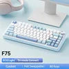 AULA F75 RGB LED 75% Wired USB & 2.4G Wireless Gaming Keyboard OEM Logo Custom PBT Mechanical Switch for PC Desktop Users