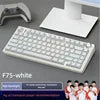 AULA F75 RGB LED 75% Wired USB & 2.4G Wireless Gaming Keyboard OEM Logo Custom PBT Mechanical Switch for PC Desktop Users