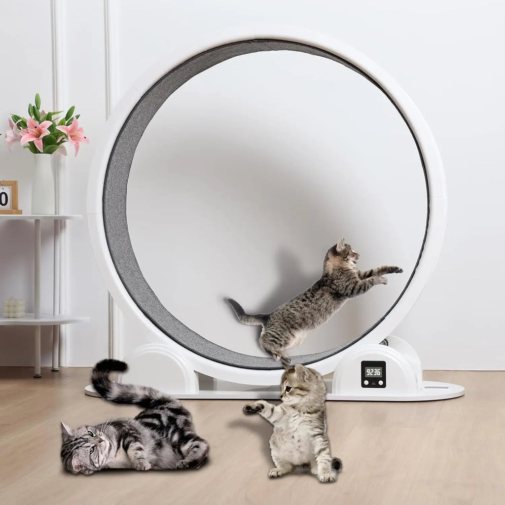 New Arrival 41 Inch Large Cat Pet Fitness Toys Exercise Wheel Pedometer Running Wheel Sports Roller Cat Treadmill