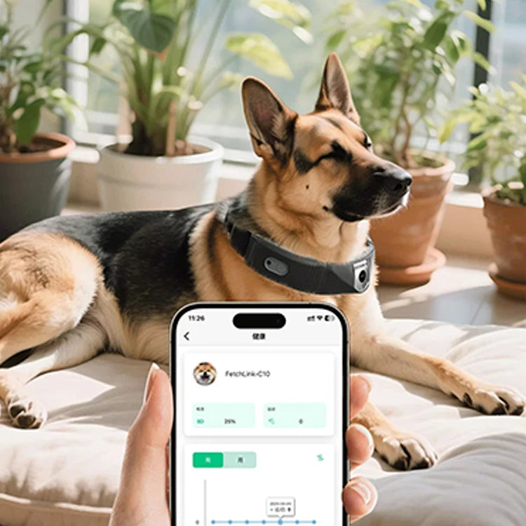 Smart 4G LTE Pet GPS Tracking Collar Mini WiFi Cat Dog Anti-Theft Real-Time Anti-Lost Locator