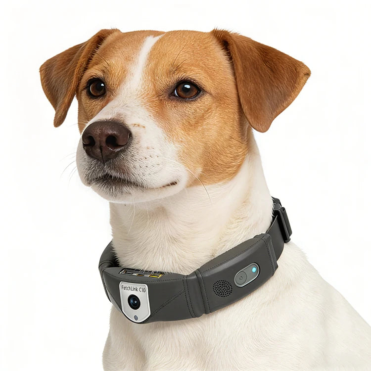 Smart 4G LTE Pet GPS Tracking Collar Mini WiFi Cat Dog Anti-Theft Real-Time Anti-Lost Locator