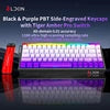 LDON 68 New Model RGB Wired Mechanical Keyboard 8000Hz Magnetic Switch 68 Laser Keys for PC Desktop Gaming Operation