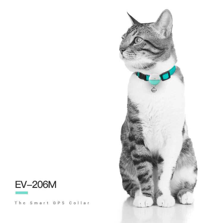 APP+WEB Monitoring Service Small and Light Dog/Cat Activity Tracking Pet GPS Tracker Animal Tracking Device EV-206