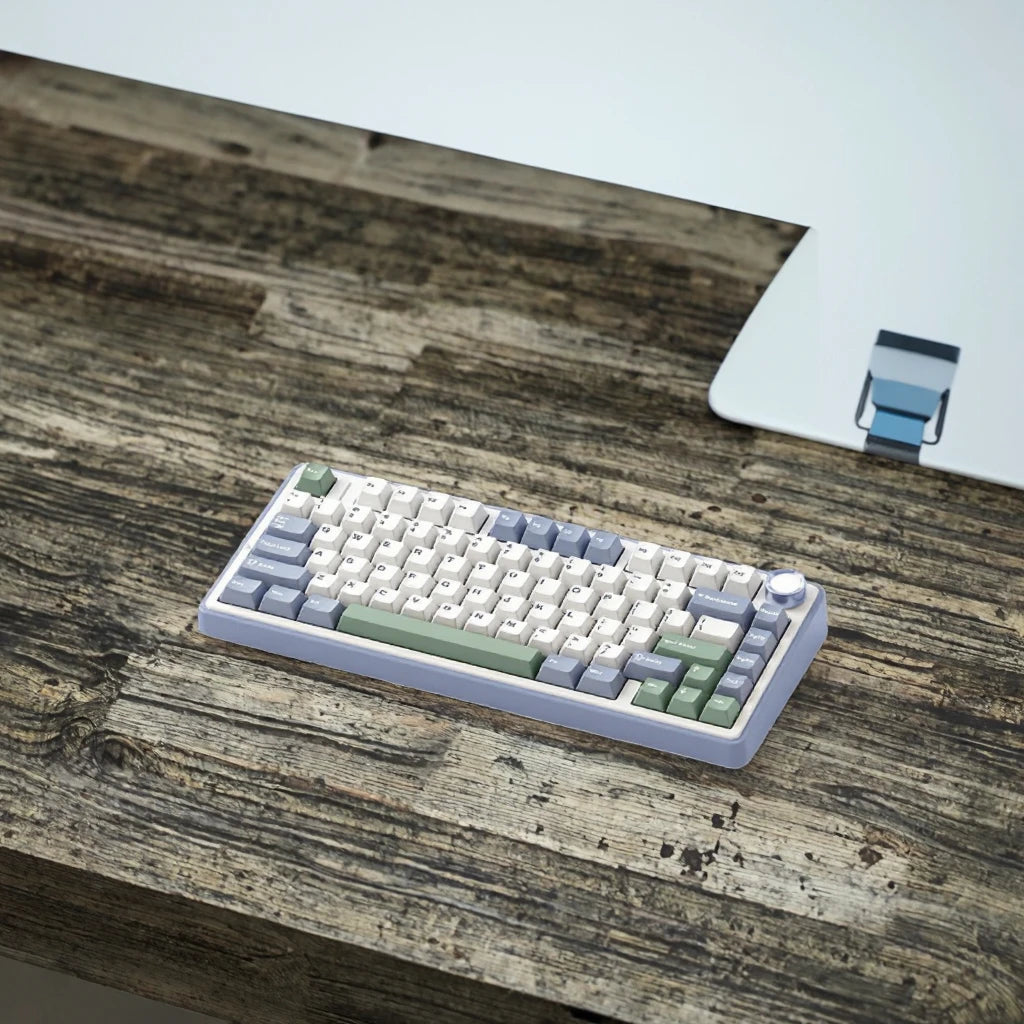 F75 RGB LED 75% Wired 2.4G Wireless Gaming Keyboard OEM Logo Custom PBT Mechanical Switch Kailh New for PC Desktop Users