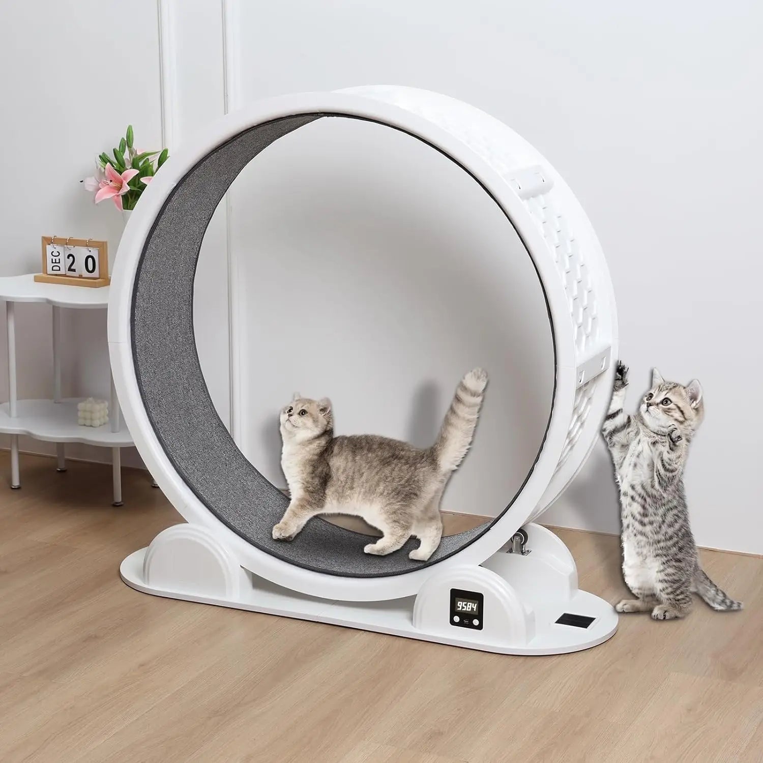 New Arrival 41 Inch Large Cat Pet Fitness Toys Exercise Wheel Pedometer Running Wheel Sports Roller Cat Treadmill