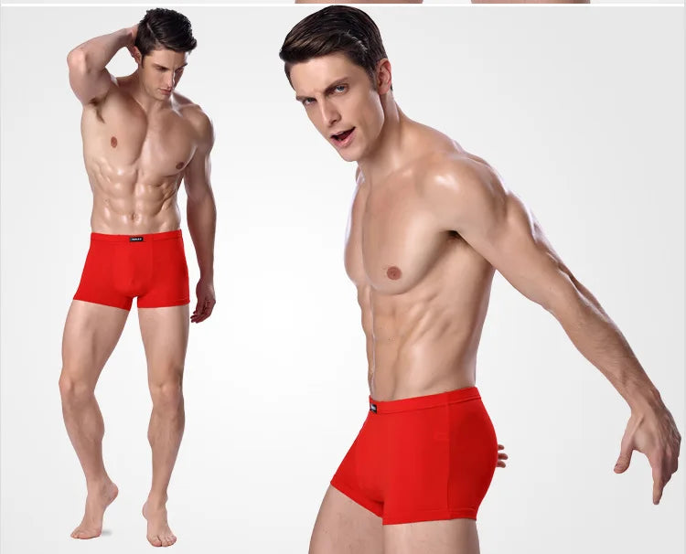 Men's Underwear Boxer Shorts Bamboo Fiber Solid Color Male Pants Breathable Underpants Boxer For Men Pantalones Para Hombres New