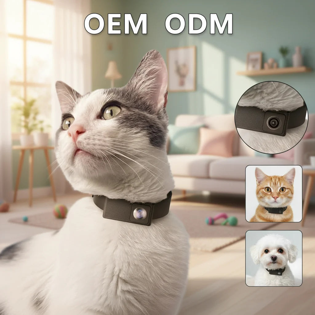 Small DV USB Cat Camera 160 Degree Fisheye 1080P Finger Digital Video Camera X6 With 0.96in Screen
