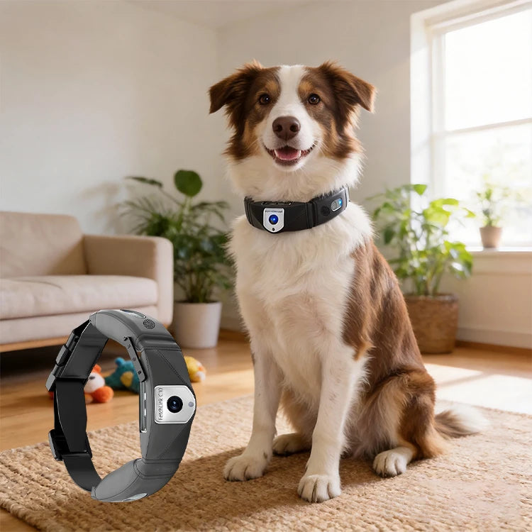 Smart 4G LTE Pet GPS Tracking Collar Mini WiFi Cat Dog Anti-Theft Real-Time Anti-Lost Locator