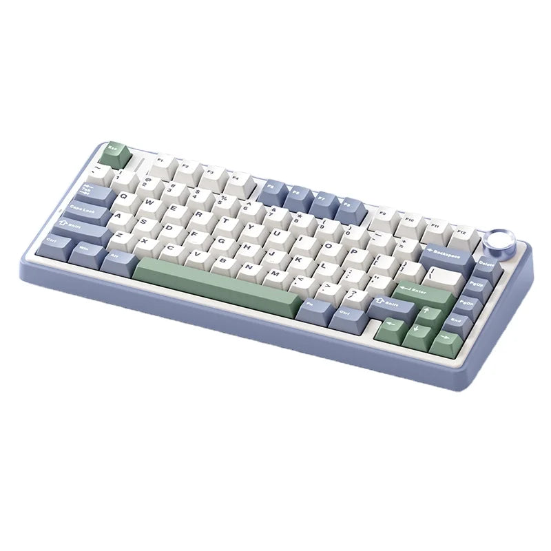 F75 RGB LED 75% Wired 2.4G Wireless Gaming Keyboard OEM Logo Custom PBT Mechanical Switch Kailh New for PC Desktop Users