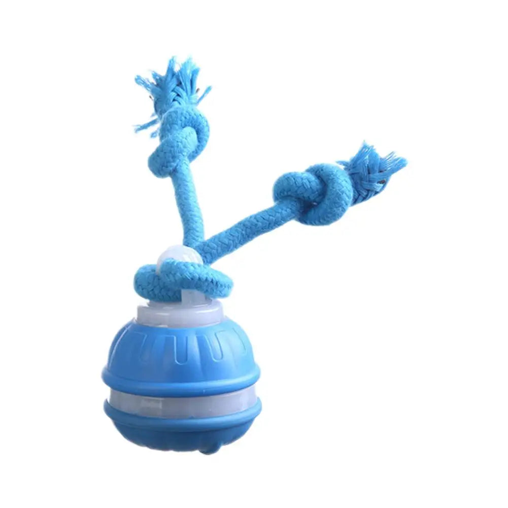 Interactive Dog Toys for Boredom Motion Activated Ball for Small/Medium/Large Dogs USB Rechargeable Dog Toy for Indoor
