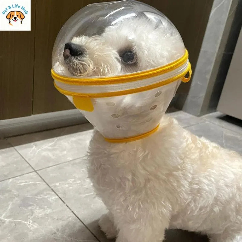 Pet headgear to prevent licking and biting mascotas accessorios para perros pet dog accessories designer pet kittens and dog
