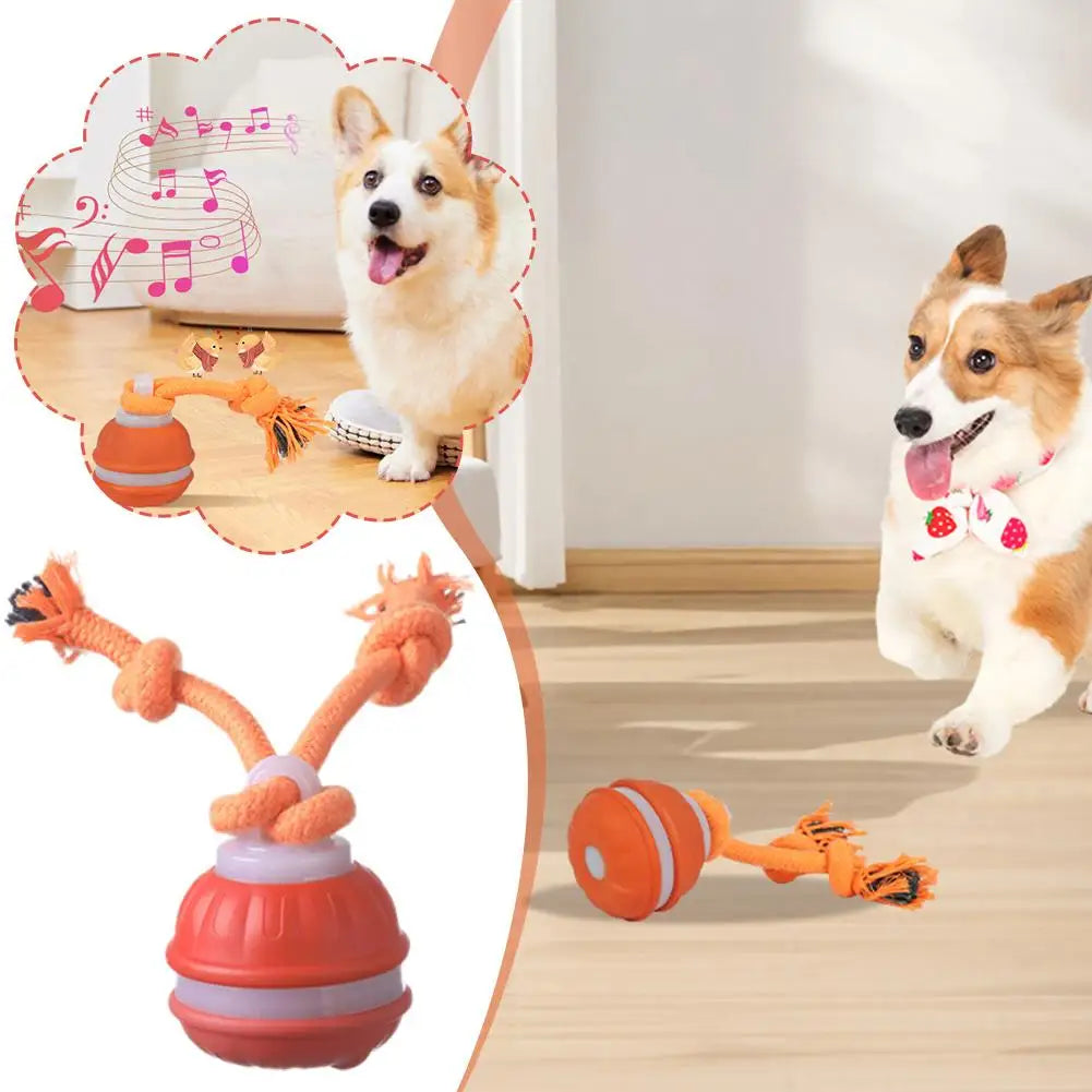 Interactive Dog Toys for Boredom Motion Activated Ball for Small/Medium/Large Dogs USB Rechargeable Dog Toy for Indoor