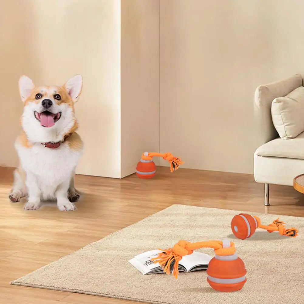 Interactive Dog Toys for Boredom Motion Activated Ball for Small/Medium/Large Dogs USB Rechargeable Dog Toy for Indoor