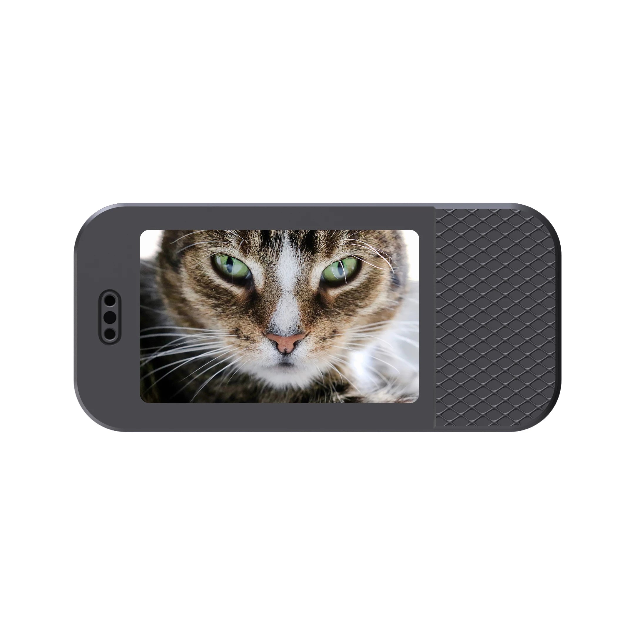 HD 1080P Pet Cameras Outdoors Wireless Collar Camera No WiFi Needed Video Records for Cats Dogs Birthday Gift Mini Camera