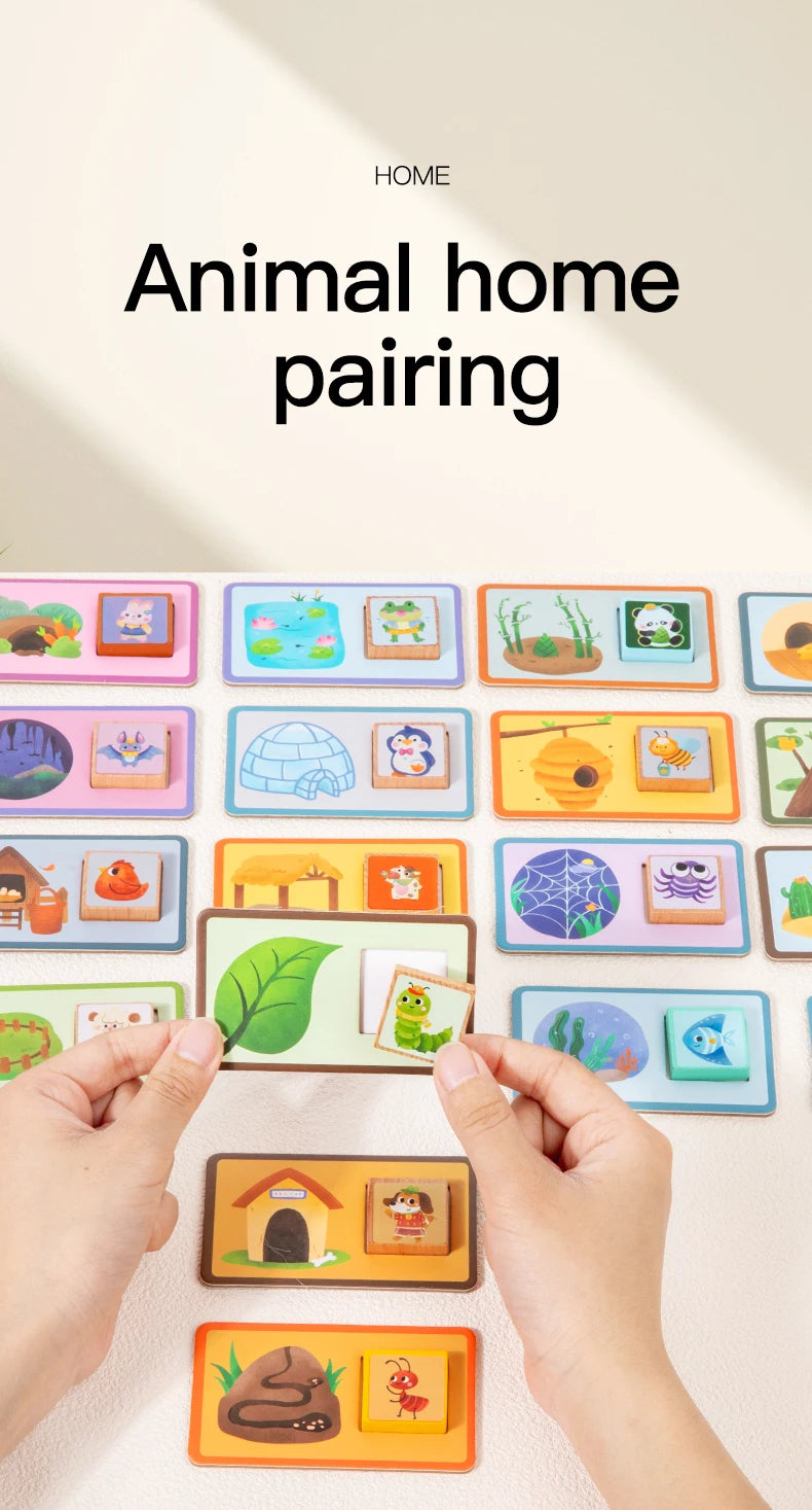 Paired Toys Parent-Child Interactive Teaching Tools Designed To Develop Observation Concentration And Logical Thinking Skills