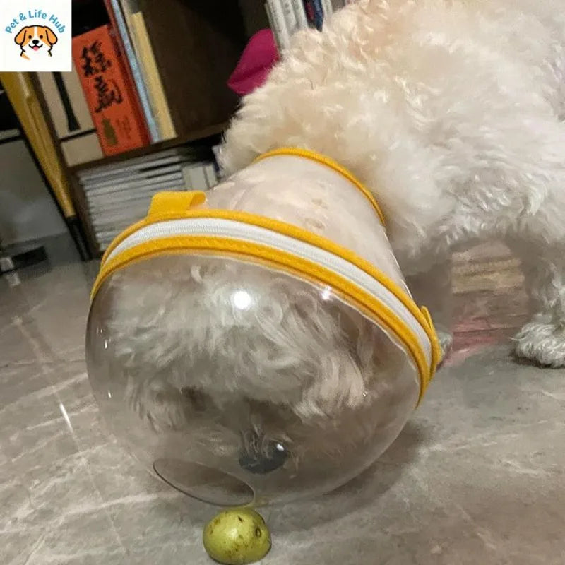 Pet headgear to prevent licking and biting mascotas accessorios para perros pet dog accessories designer pet kittens and dog
