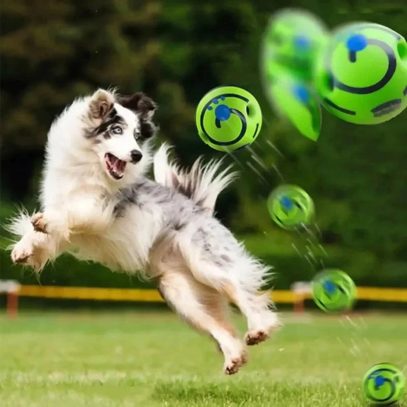 Fun interactive riggle ball: IQ training balls for dogs, interactive pet toy, stimulating game, mental stimulation and exercise.