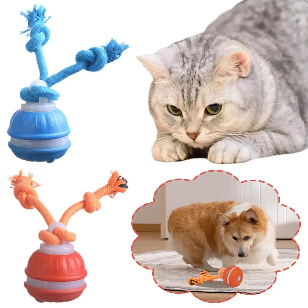 Interactive Dog Toys for Boredom Motion Activated Ball for Small/Medium/Large Dogs USB Rechargeable Dog Toy for Indoor