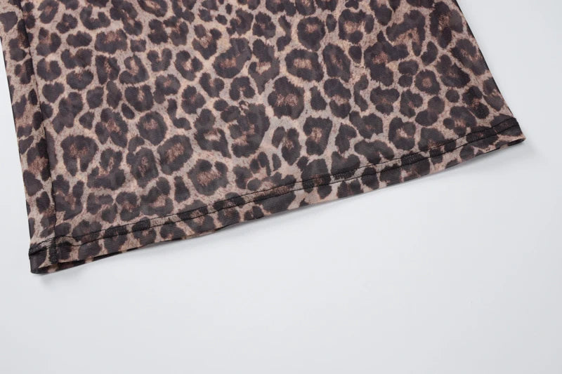Hugcitar Leopard Print Mesh Long Sleeve Sexy Slim  See Through Maxi Dress Fall Women Fashion Outfits Beach Vacation Club