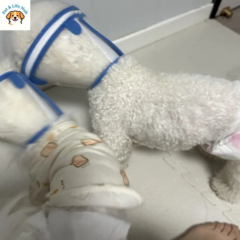 Pet headgear to prevent licking and biting mascotas accessorios para perros pet dog accessories designer pet kittens and dog