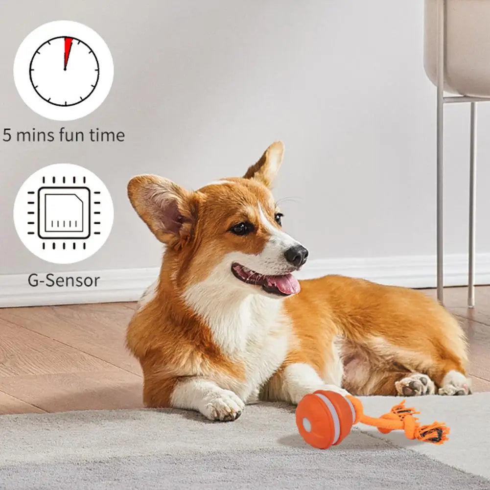 Interactive Dog Toys for Boredom Motion Activated Ball for Small/Medium/Large Dogs USB Rechargeable Dog Toy for Indoor