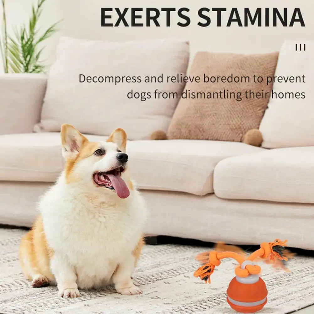 Interactive Dog Toys for Boredom Motion Activated Ball for Small/Medium/Large Dogs USB Rechargeable Dog Toy for Indoor