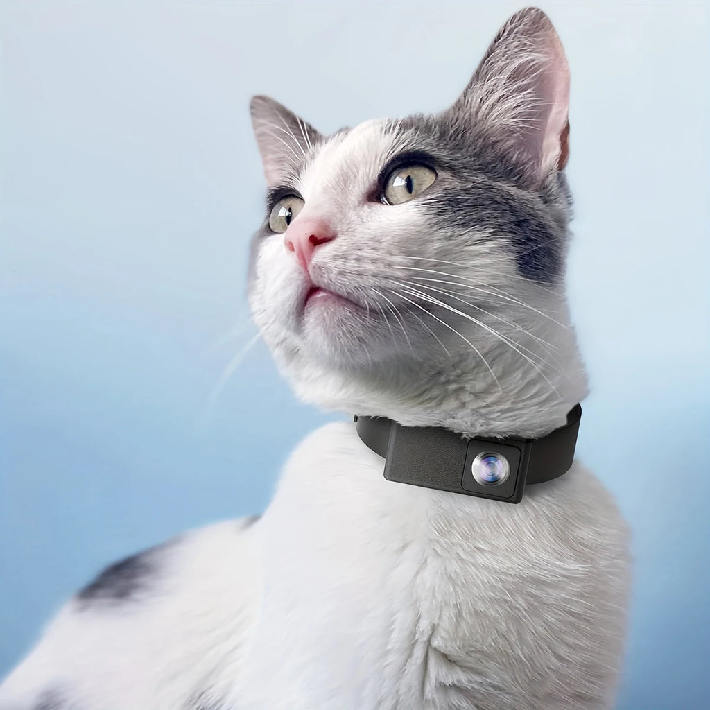 HD 1080P Pet Cameras Outdoors Wireless Collar Camera No WiFi Needed Video Records for Cats Dogs Birthday Gift Mini Camera