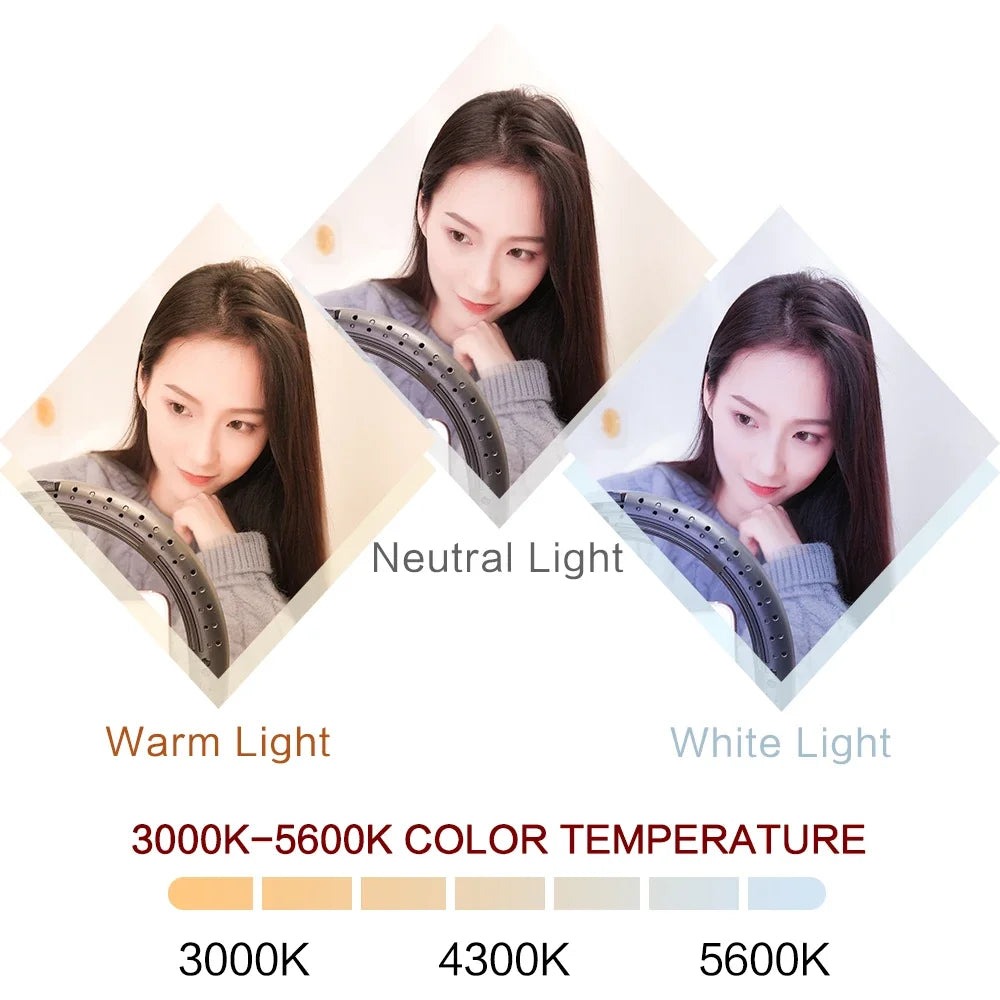 10" LED Ring Light with Tripod Stand Dimmable for Makeup & Live Streaming