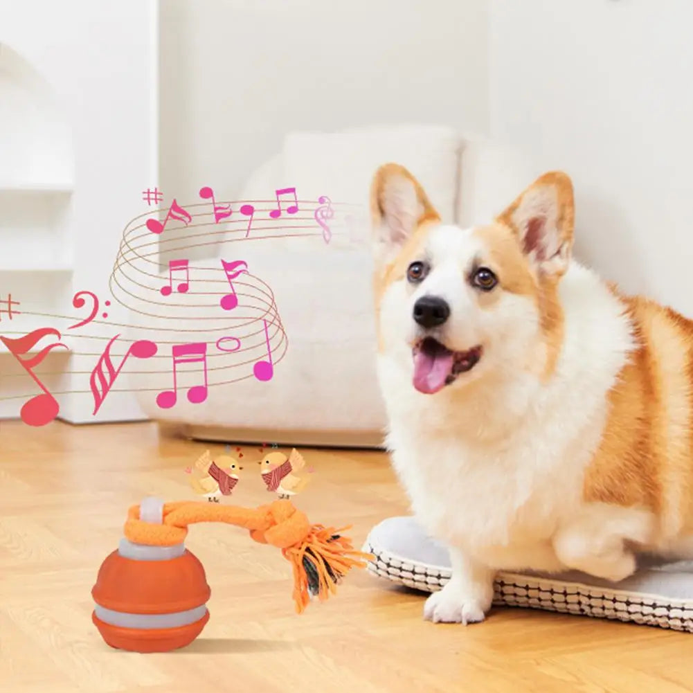 Interactive Dog Toys for Boredom Motion Activated Ball for Small/Medium/Large Dogs USB Rechargeable Dog Toy for Indoor