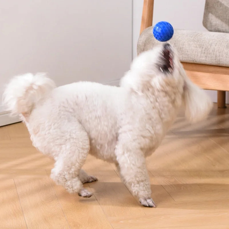 Interactive Dog Toys - Natural Rubber Honeycomb Balls Bite Resistant Teething Chew Toys with Sound for Clean Teeth Pet Play