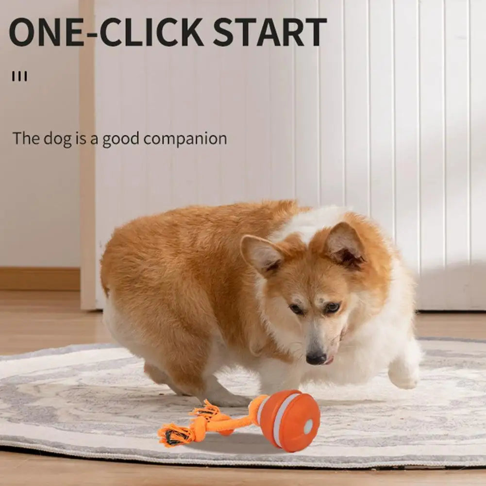 Interactive Dog Toys for Boredom Motion Activated Ball for Small/Medium/Large Dogs USB Rechargeable Dog Toy for Indoor