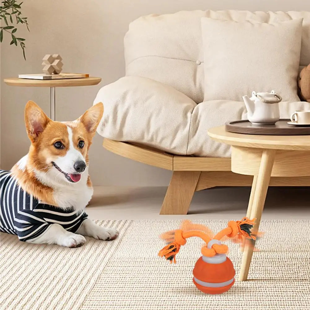 Interactive Dog Toys for Boredom Motion Activated Ball for Small/Medium/Large Dogs USB Rechargeable Dog Toy for Indoor