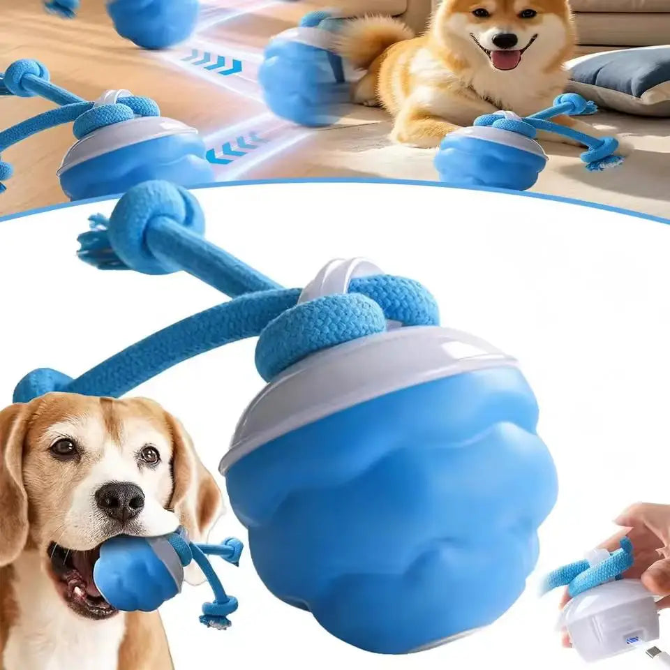 Interactive Dog Toys for Boredom Motion Activated Ball for Small/Medium/Large Dogs USB Rechargeable Dog Toy for Indoor