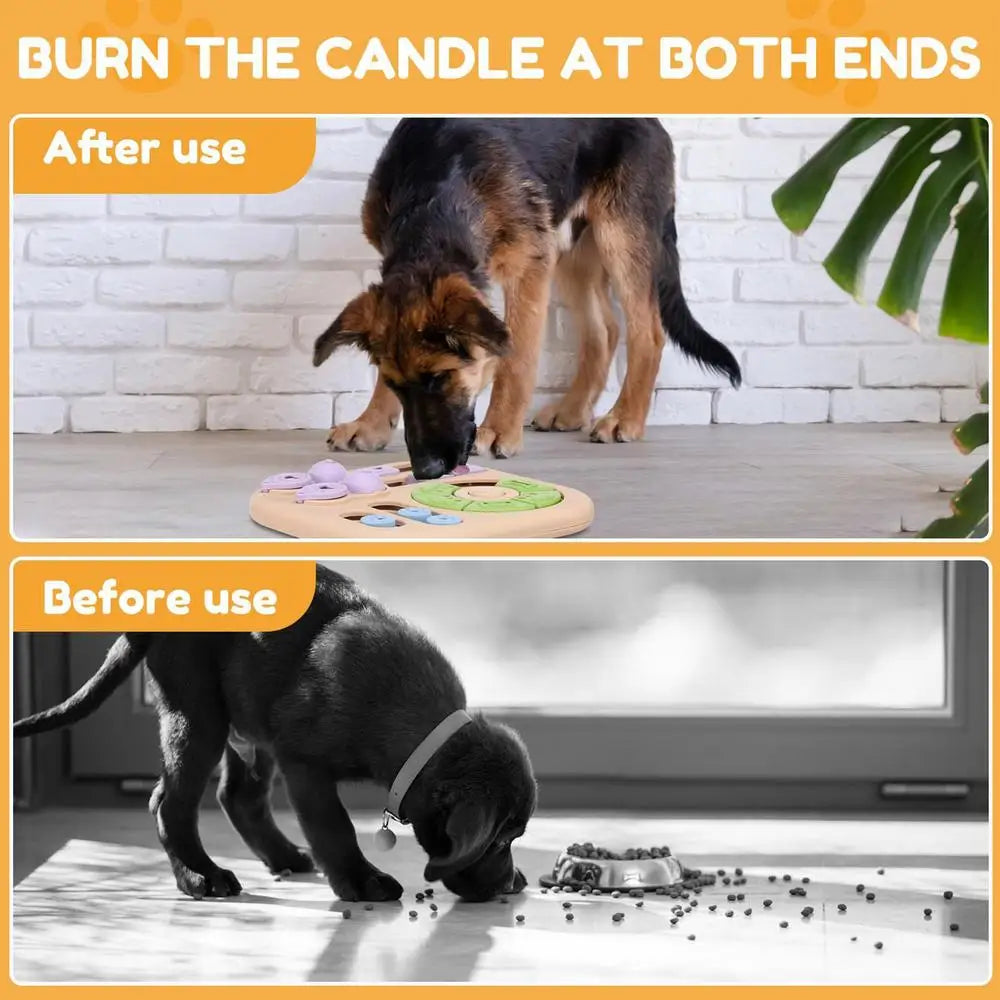 Interactive dog educational toy, interactive treat dispenser, suitable for training and intellectual development, for dogs cats