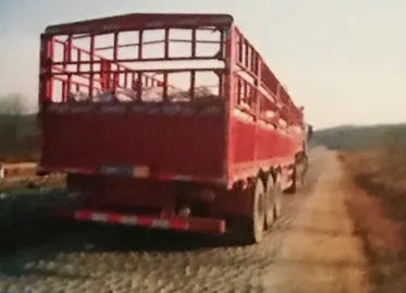 JKG 3 Axle 40ton Flatbed Trailer Flat Deck Flat Bed Semi Trailer 20/40Ft Container Chassis Flat Top Trailer