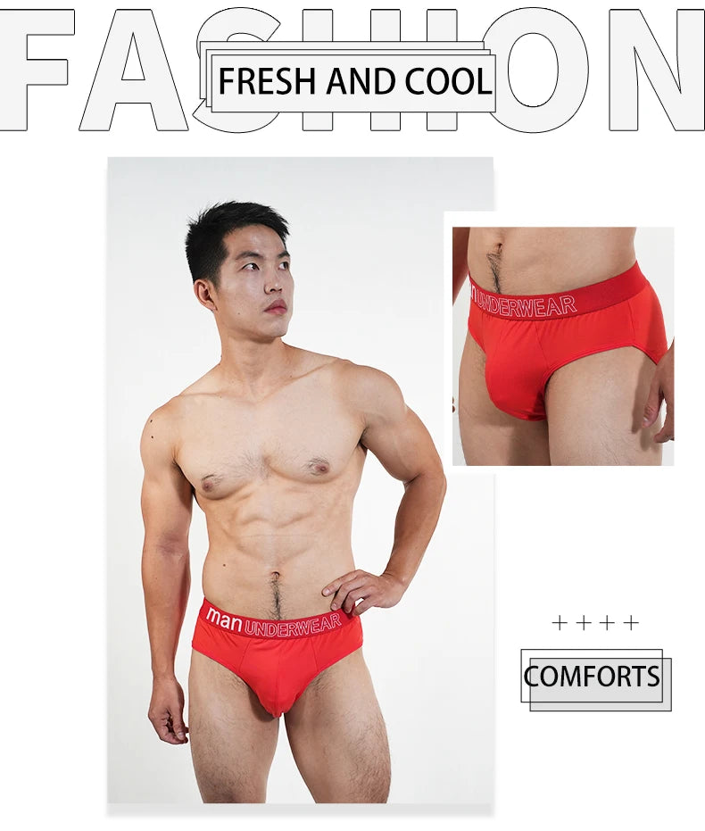 2Pcs Men‘s Large Briefs Mens Comfortable Underpants Man Sexy Gifts Underwear Stunend Breathable Triangle Panties Para Hombres